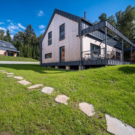 Holiday House U Hajenky 13P Lipno Home ليبنو ناد فلتافو المظهر الخارجي الصورة