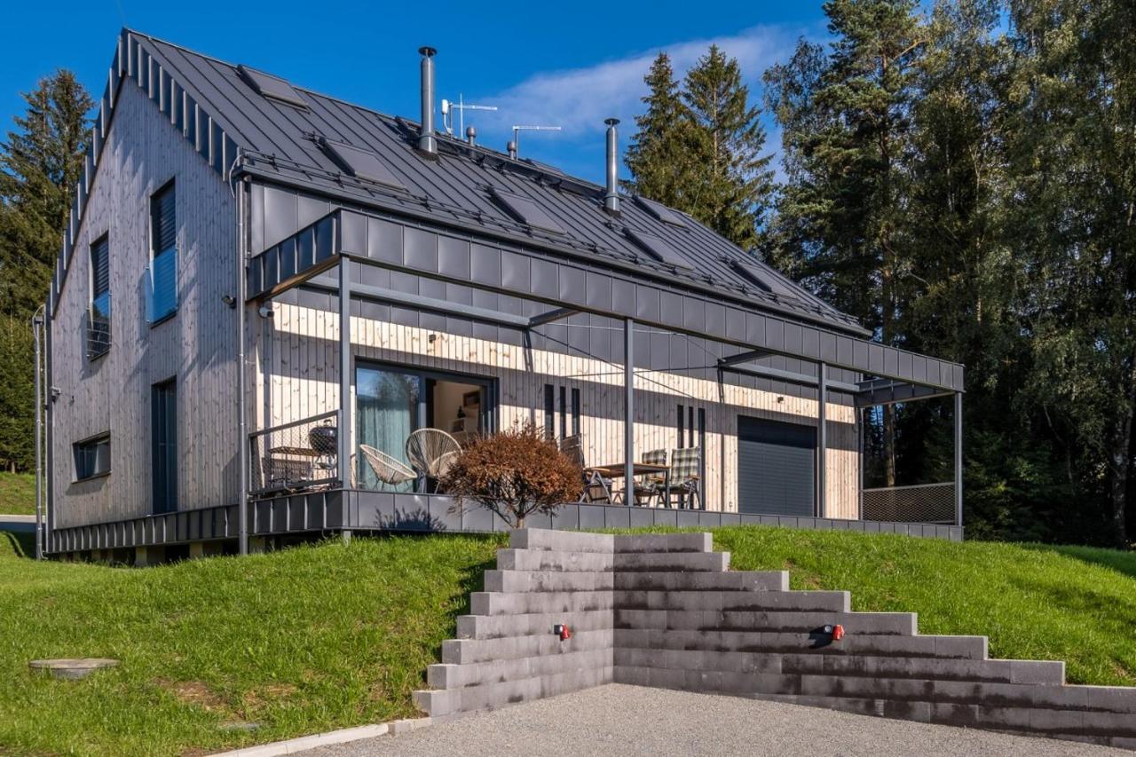 Holiday House U Hajenky 13P Lipno Home ليبنو ناد فلتافو المظهر الخارجي الصورة
