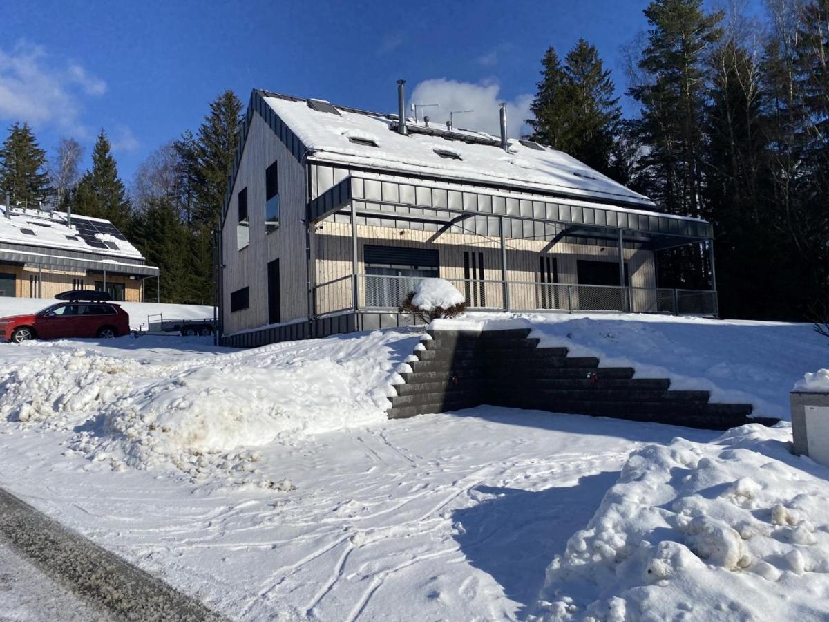 Holiday House U Hajenky 13P Lipno Home ليبنو ناد فلتافو المظهر الخارجي الصورة